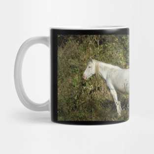 Wild Horse Mug